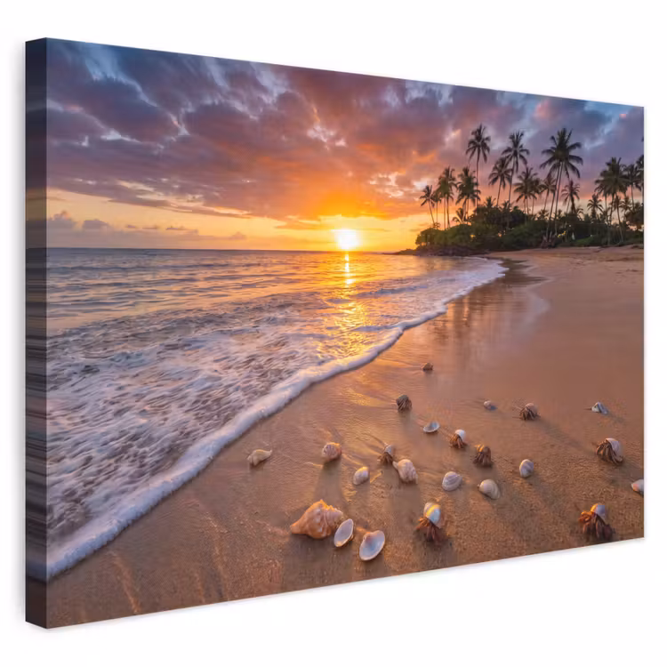 Strand - Zonsondergang - Palmbomen - Natuur - Oranje canvas 2cm klein -3d