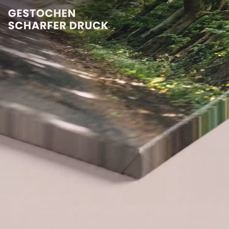 Weg - Bomen - Natuur - Groen canvas 2cm klein -uniquesellingpoint_afwerking-onlywow_DE