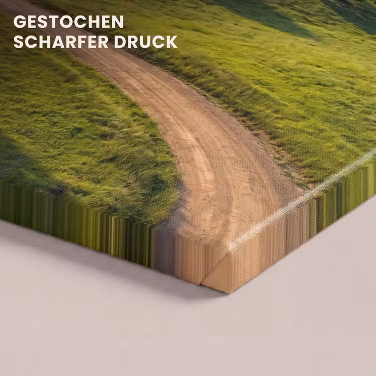 Weg - Weide - Natuur - Groen canvas 2cm klein -uniquesellingpoint_afwerking-onlywow_DE