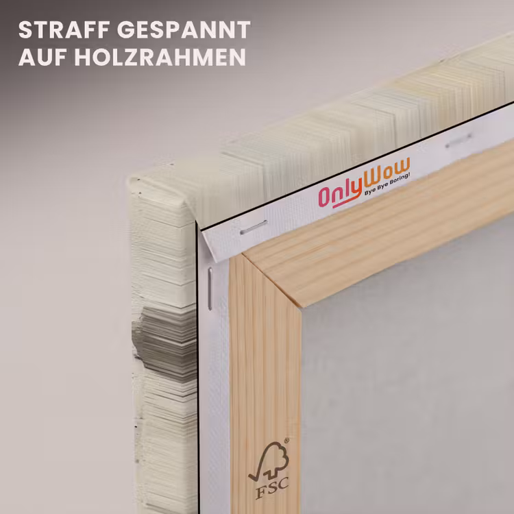 Street art - Meisje - Vogel - Graffiti - Banksy canvas 2cm klein -uniquesellingpoint_afwerking-onlywow_DE