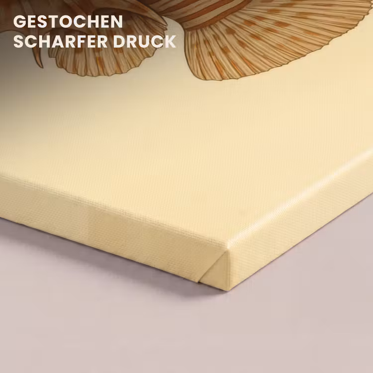 Strepen - Vis - Rond - Stekels canvas 2cm klein -closeup_print_DE