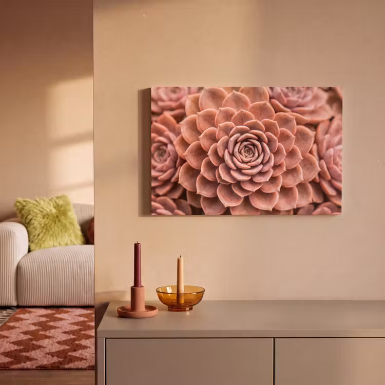Vetplant - Organisch - Roze canvas 2cm klein -sfeer1