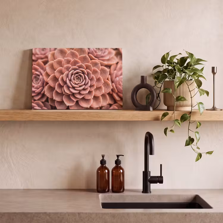 Vetplant - Organisch - Roze canvas 2cm klein -sfeer3
