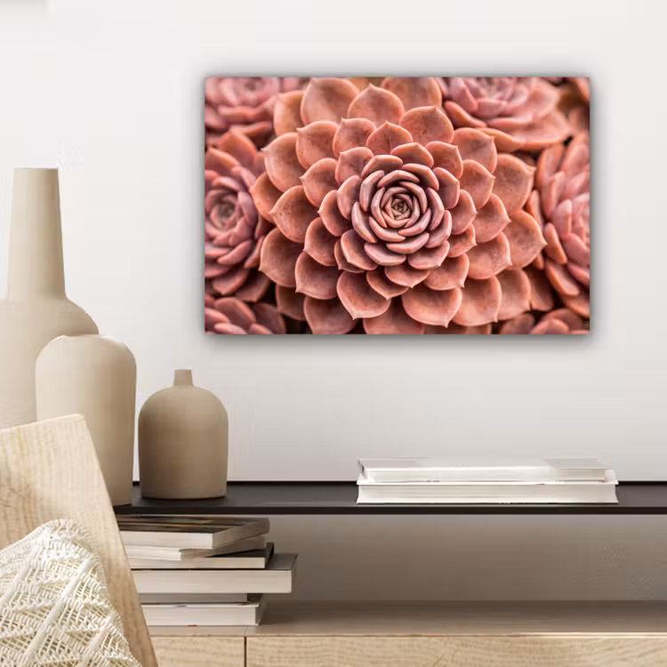 Vetplant - Organisch - Roze canvas 2cm klein -sfeer6