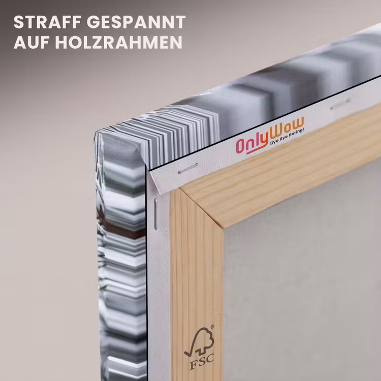 Dennenappel - Tak - Sneeuw - Winter - Sfeervol canvas 2cm klein -uniquesellingpoint_afwerking-onlywow_DE