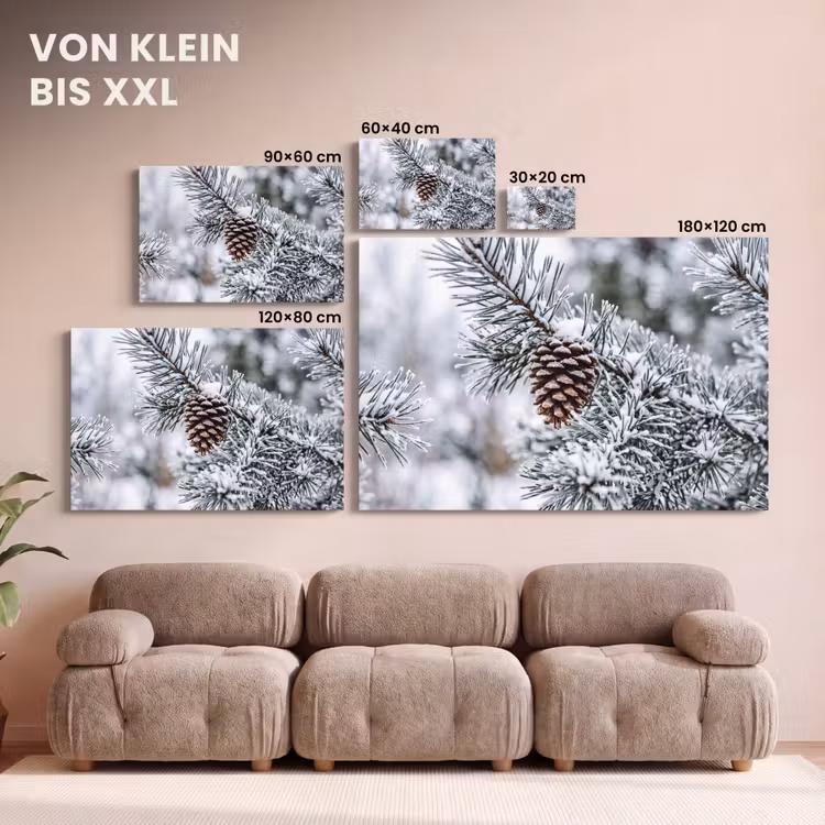 Dennenappel - Tak - Sneeuw - Winter - Sfeervol canvas 2cm klein -Xsfeer8_DE