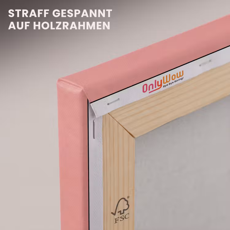 Duiven - Wit - Sierlijk canvas 2cm klein -uniquesellingpoint_afwerking-onlywow_DE