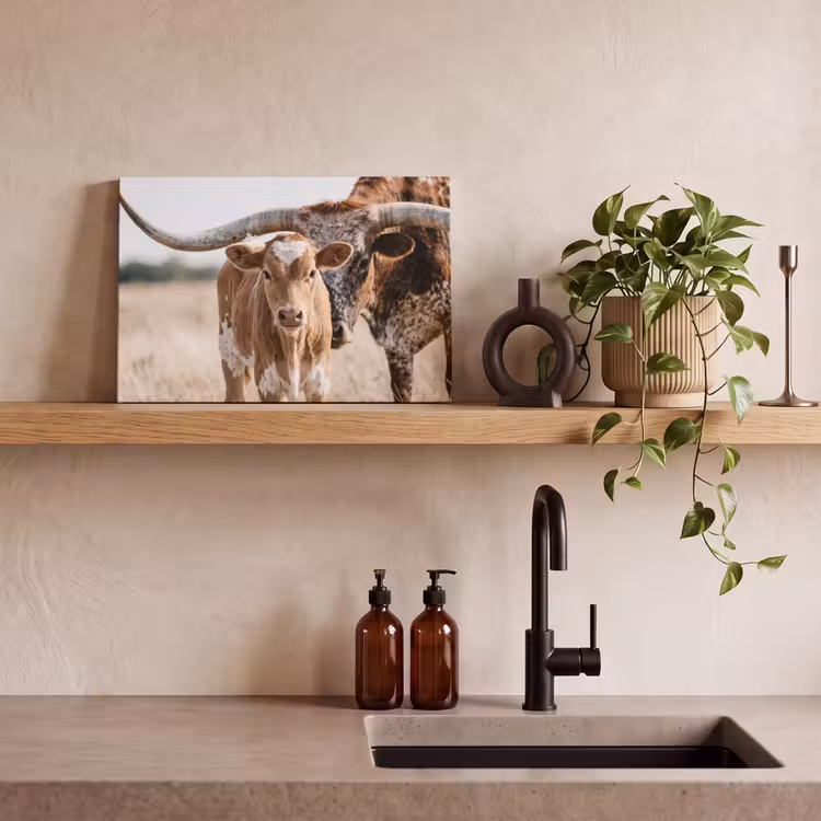 Texas Longhorn - Kalf - Weide - Dieren canvas 2cm klein -sfeer6