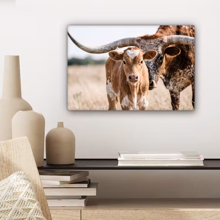 Texas Longhorn - Kalf - Weide - Dieren canvas 2cm klein -closeup_print_DE