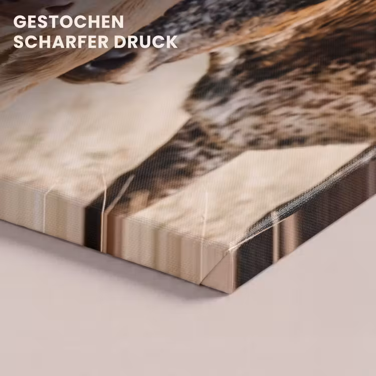 Texas Longhorn - Kalf - Weide - Dieren canvas 2cm klein -uniquesellingpoint_afwerking-onlywow_DE
