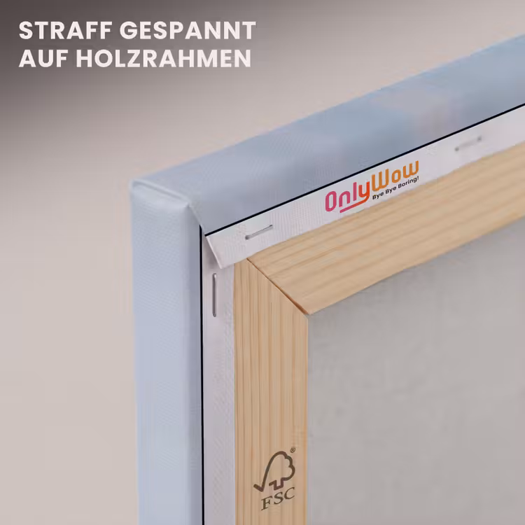 Dier - Ballon - Pasteltinten - Glanzend canvas 2cm klein -uniquesellingpoint_afwerking-onlywow_DE