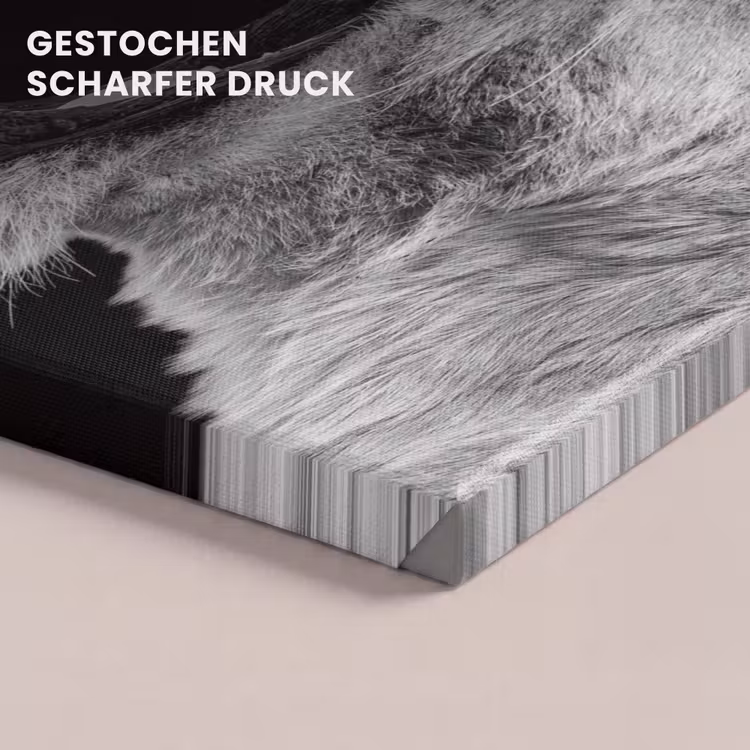 Dieren - Leeuw - Zwart - Wit - Portret canvas 2cm klein -closeup_print_DE