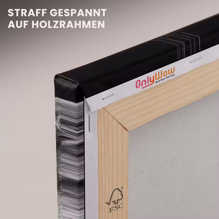 Dieren - Leeuw - Zwart - Wit - Portret canvas 2cm klein -uniquesellingpoint_afwerking-onlywow_DE