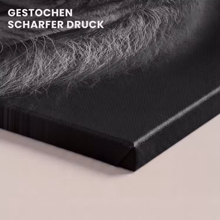 Dieren - Leeuw - Zwart - Wit - Portret canvas 2cm klein -closeup_print_DE