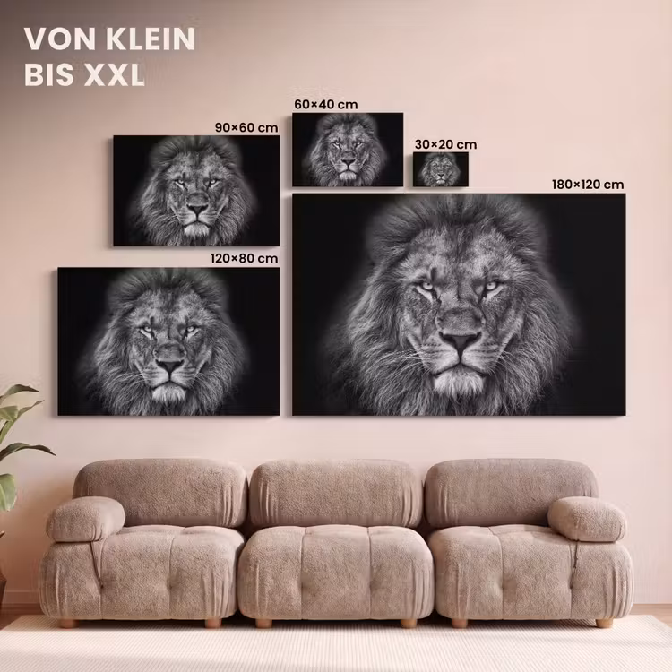 Dieren - Leeuw - Zwart - Wit - Portret canvas 2cm klein -Xsfeer8_DE