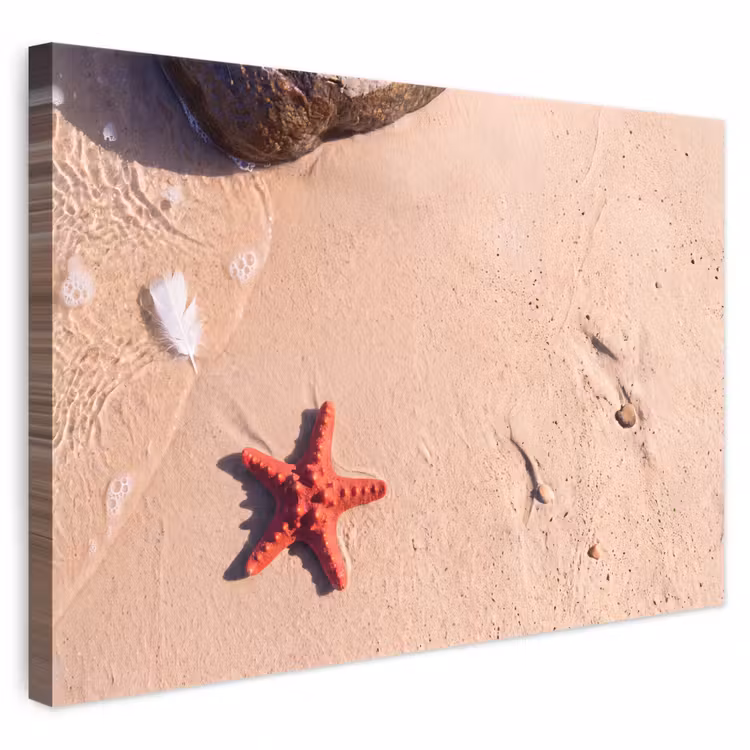 Dieren - Strand - Zee - Natuur - Rood canvas 2cm klein -3d