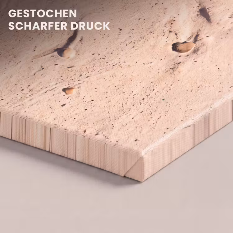 Dieren - Strand - Zee - Natuur - Rood canvas 2cm klein -closeup_print_DE