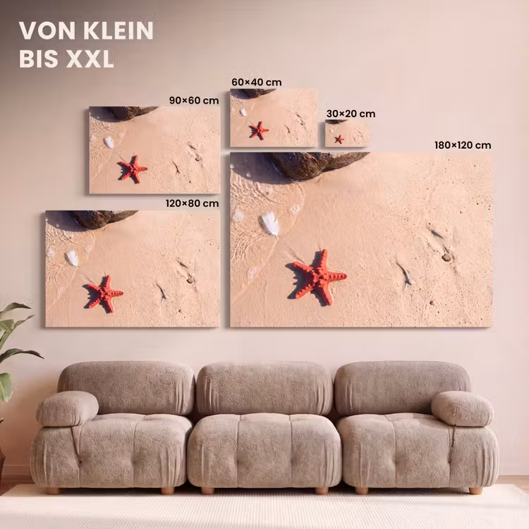 Dieren - Strand - Zee - Natuur - Rood canvas 2cm klein -Xsfeer8_DE