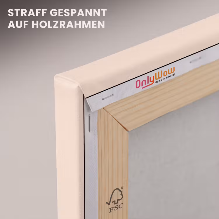Tijger - Roze - Oranje canvas 2cm klein -uniquesellingpoint_afwerking-onlywow_DE