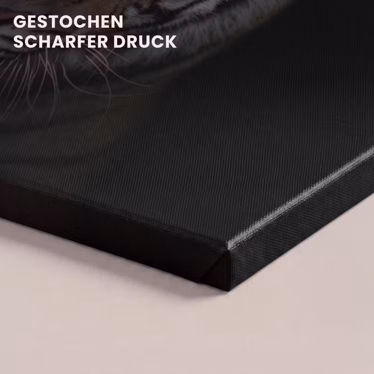 Tijger - Wilde dieren - Portret - Zwart - Dieren canvas 2cm klein -closeup_print_DE