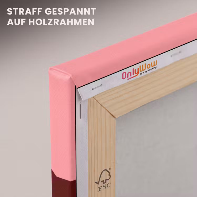 Dream - 3D - Rood - Roze canvas 2cm klein -uniquesellingpoint_afwerking-onlywow_DE