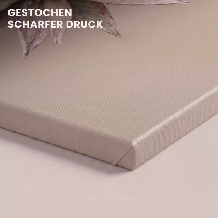 Droogbloem - Protea - Vintage - Beige - Rustiek canvas 2cm klein -uniquesellingpoint_afwerking-onlywow_DE