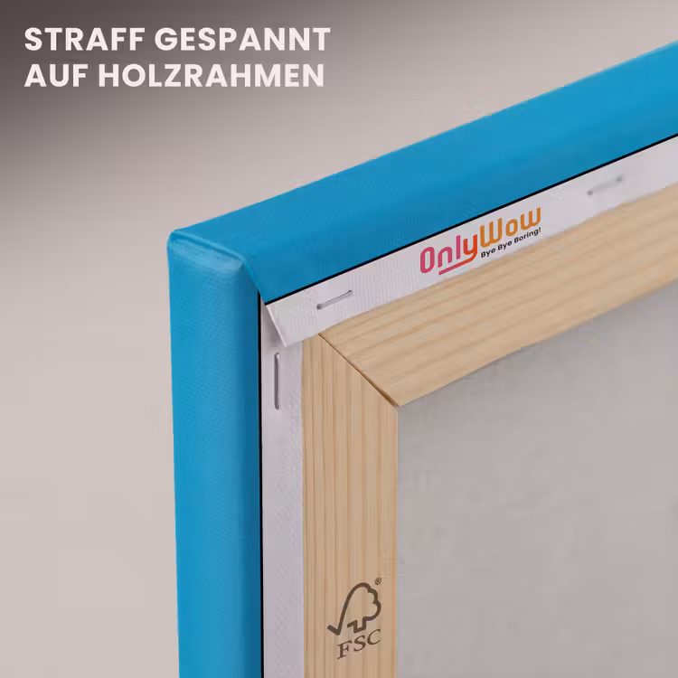 Tucan - Sokkel - Vogel - Koksmuts canvas 2cm klein -uniquesellingpoint_afwerking-onlywow_DE