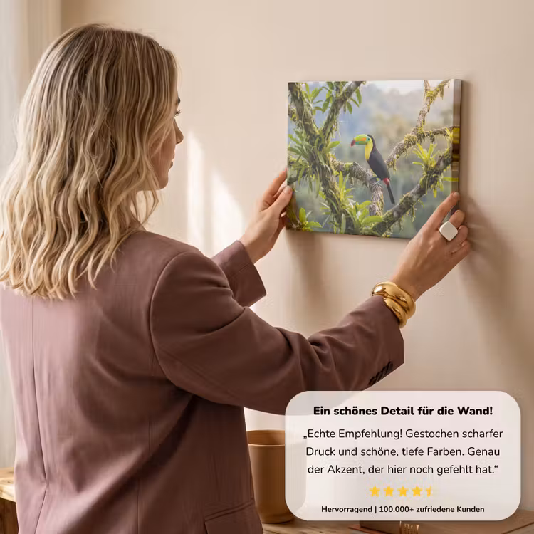 Toekan - Jungle - Natuur - Kleurrijk canvas 2cm klein -Xsfeer7_DE