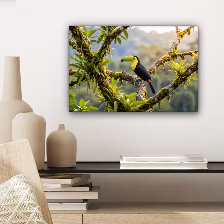 Toekan - Jungle - Natuur - Kleurrijk canvas 2cm klein -sfeer6
