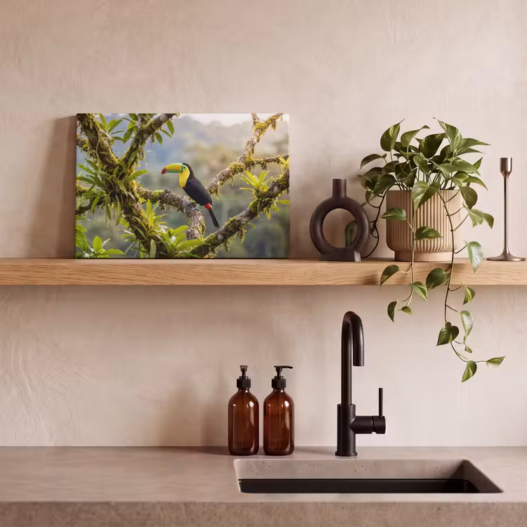 Toekan - Jungle - Natuur - Kleurrijk canvas 2cm klein -sfeer3