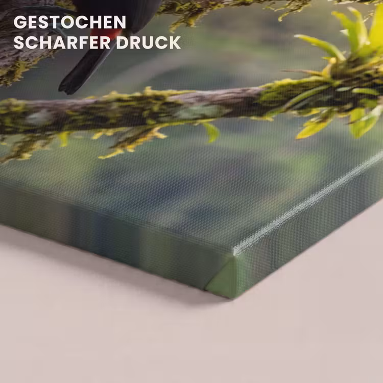 Toekan - Jungle - Natuur - Kleurrijk canvas 2cm klein -closeup_print_DE