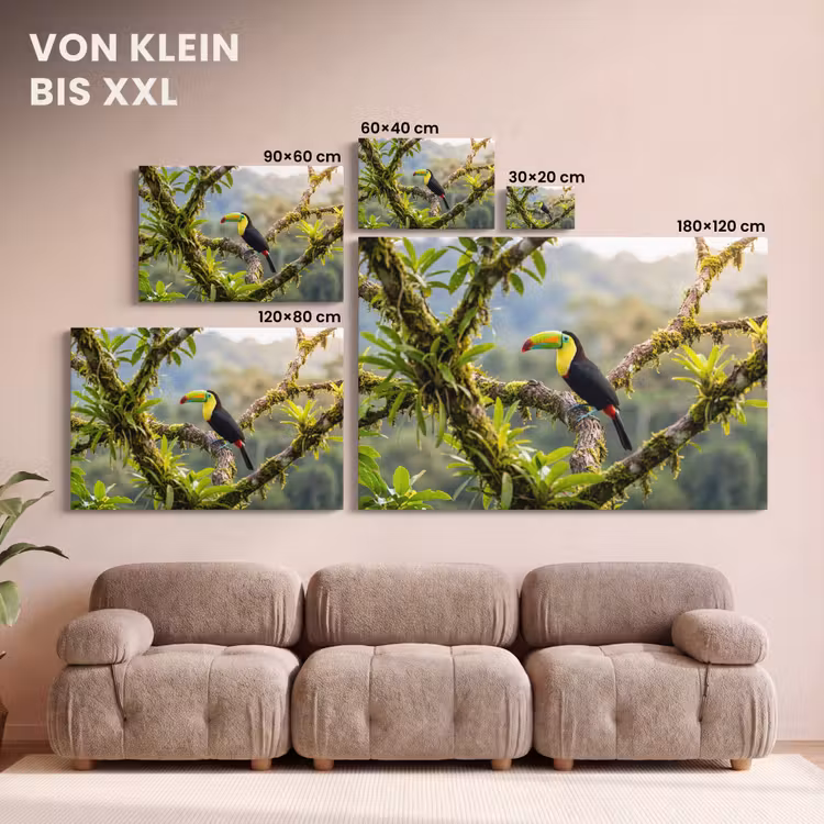 Toekan - Jungle - Natuur - Kleurrijk canvas 2cm klein -Xsfeer8_DE
