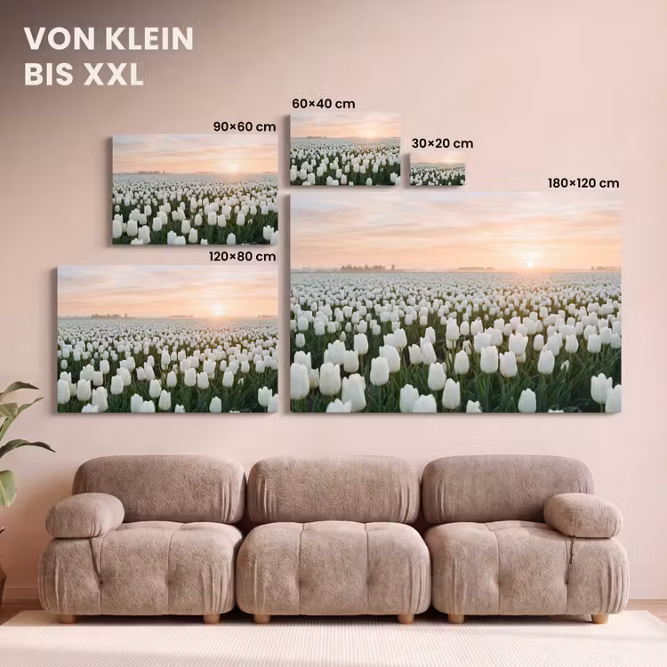 Tulpen - Landschap - Wit canvas 2cm klein -Xsfeer8_DE