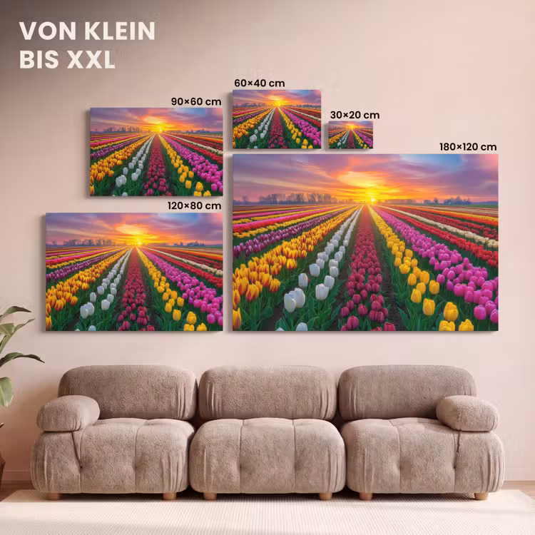Tulpenveld - Zonsondergang - Kleurrijk canvas 2cm klein -Xsfeer8_DE