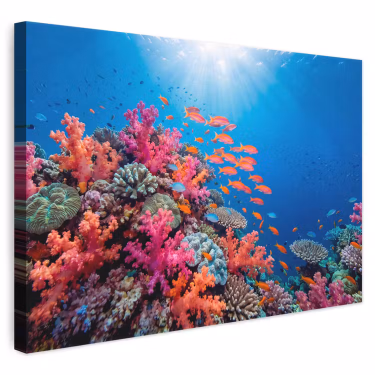 Onderwater - Koraalrif - Vissen - Oceaan - Natuur canvas 2cm klein -3d
