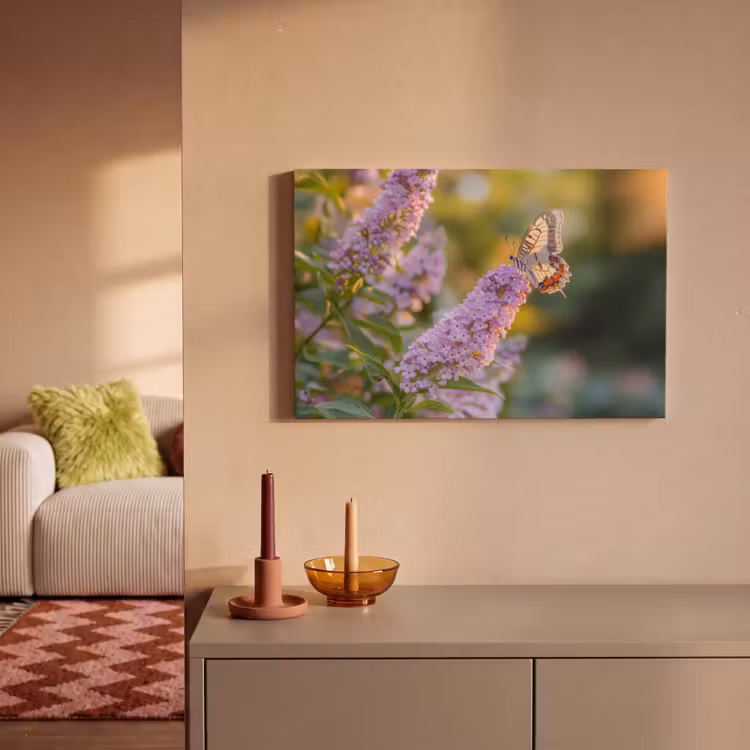 Sierlijke - Vlinder - Paarse - Bloemen canvas 2cm klein -sfeer1