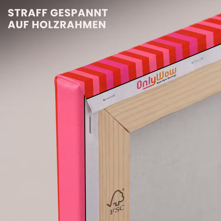 Verticaal - Strepen - Roze canvas 2cm klein 34 -uniquesellingpoint_afwerking-onlywow_DE