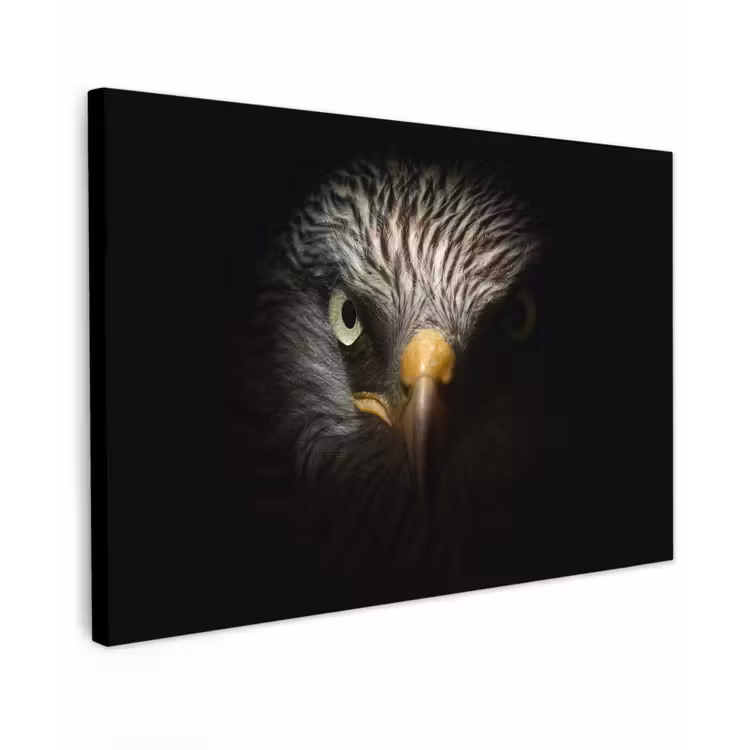 Vogel - Adelaar - Roofvogels - Oog - Snavel - Licht canvas 2cm klein -z3d