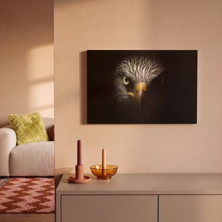 Vogel - Adelaar - Roofvogels - Oog - Snavel - Licht canvas 2cm klein -sfeer1