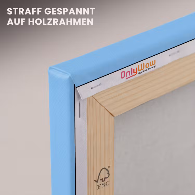 Vogel - Blauw - Eenvoudig canvas 2cm klein -uniquesellingpoint_afwerking-onlywow_DE