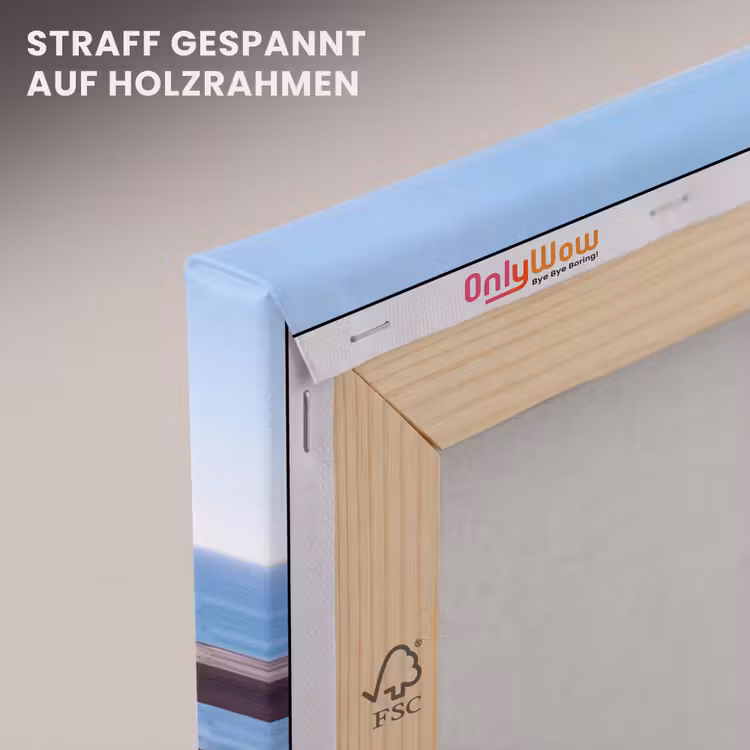 Vogel - Verrekijker - Kust - Zee - Blauw canvas 2cm klein -uniquesellingpoint_afwerking-onlywow_DE