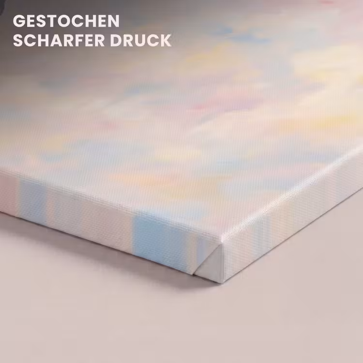 Vogel - Vliegend - Lucht - Modern - Pastel canvas 2cm klein -closeup_print_DE