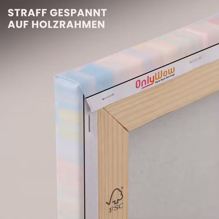 Vogel - Vliegend - Lucht - Modern - Pastel canvas 2cm klein -uniquesellingpoint_afwerking-onlywow_DE