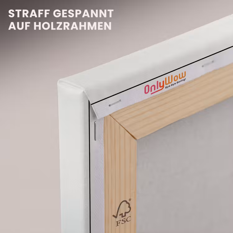 Vogel - Vlucht - Natuur - Minimalistisch canvas 2cm klein -uniquesellingpoint_afwerking-onlywow_DE