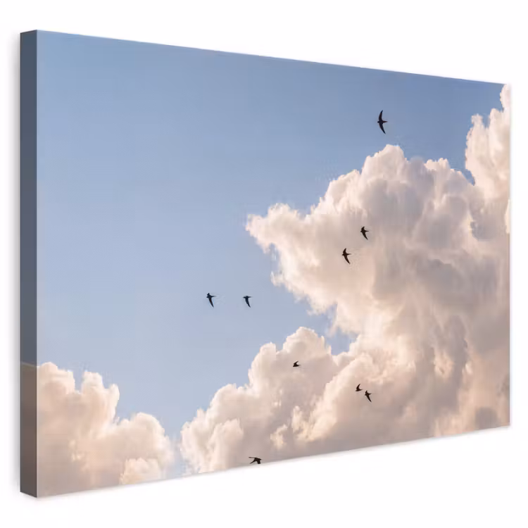 Vogel - Vlucht - Wolken - Natuur - Blauw canvas 2cm klein -3d