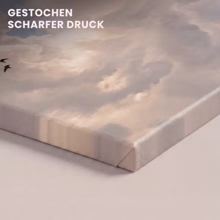 Vogel - Vlucht - Wolken - Natuur - Blauw canvas 2cm klein -closeup_print_DE