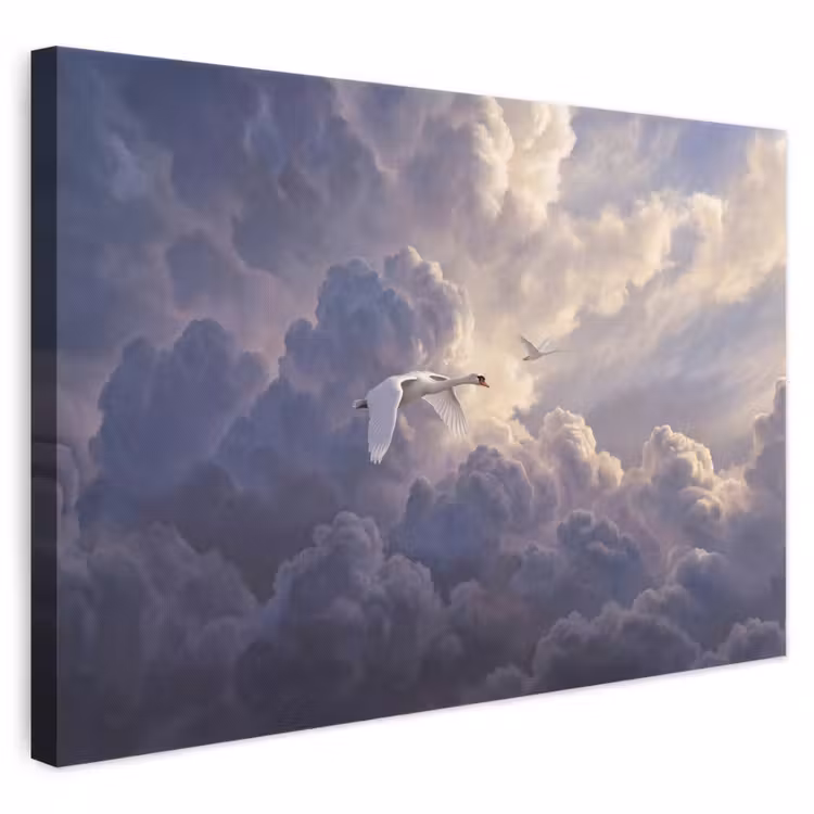 Vogel - Vliegend - Natuur - Wit - Wolken canvas 2cm klein -3d