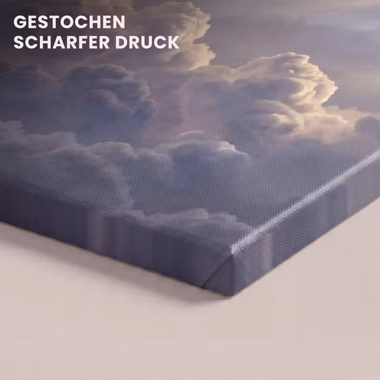 Vogel - Vliegend - Natuur - Wit - Wolken canvas 2cm klein -closeup_print_DE