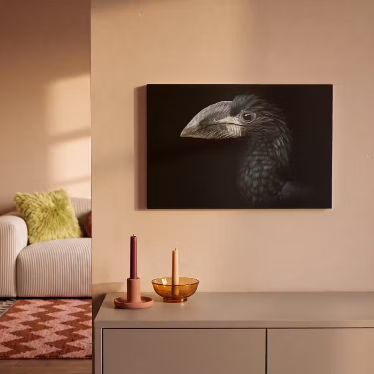 Vogel - Portret - Neushoornvogel - Zwart - Dieren canvas 2cm klein -sfeer1