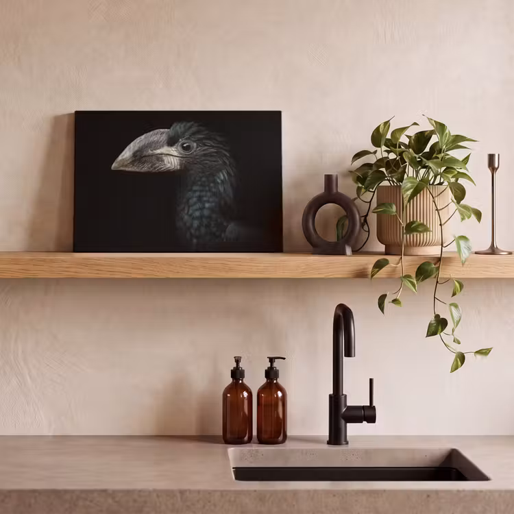 Vogel - Portret - Neushoornvogel - Zwart - Dieren canvas 2cm klein -sfeer3